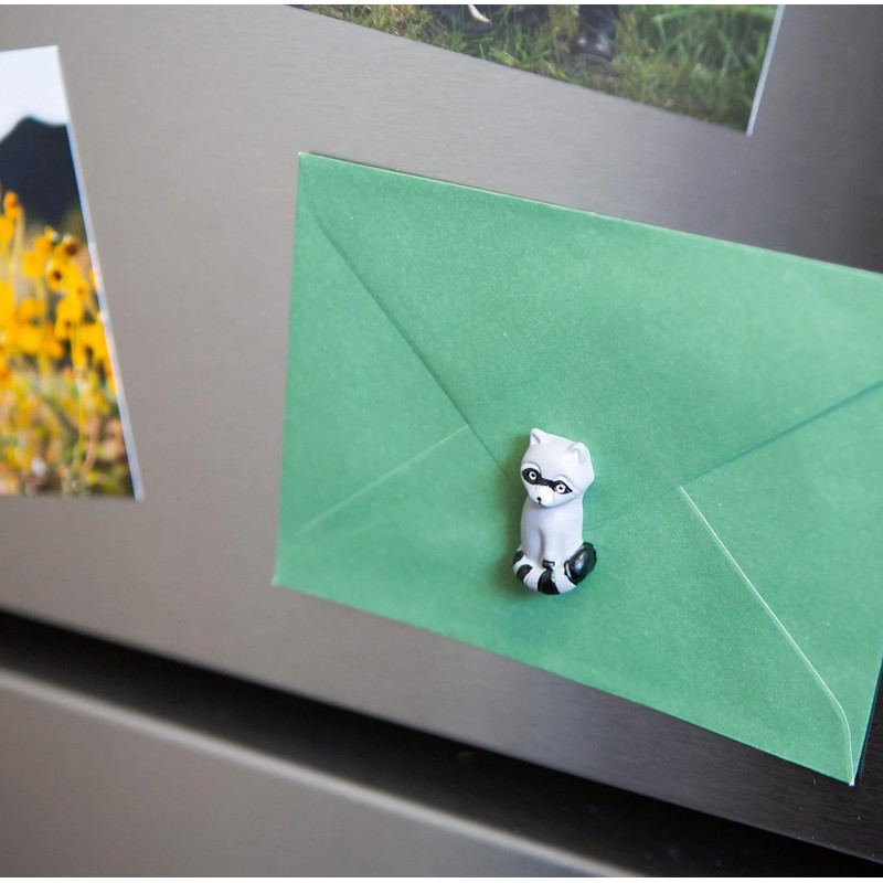 Three by Three Seattle Playful Raccoon Magnets | Adorable, Strong,