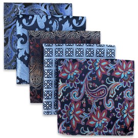 Shlax&Wing Pack of 5 Assorted Handkerchiefs for Men Square Size One Size, hset-58