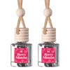 Scented Car Freshener 2 Pack - Long-lasting Fragrance:_Vanilla Pumpkin