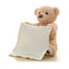 Peek-A-Boo Teddy Bear Plush, Animated Stuffed Animal for Babies NEW