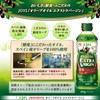 JOYL オリーブオイル エクストラバージン 600g ペット 1本 ( オリーブオイル 100% )