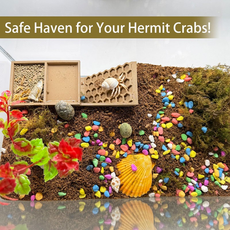 Hermit Crab Hideaway,Underground Habitat and Climbing Toy, 3D Printed Shelter