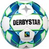 DERBYSTAR Unisex - Adult Gamma TT Training Ball, White, 5
