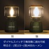 GENTOS EX-400F LED Lantern, Brightness 400 Lumens, Run Time 30 Hours, Use