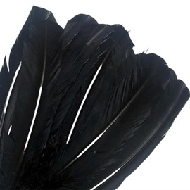 Black Turkey Feathers,Natural Big Long Feather,10-12 inches (25-30cm),Large Size Bilateral Feathers,Left and Right Wings for Crafts,Bulk 24PCS (Black Turkey)