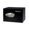 SentrySafe Safe with Digital Keypad Lock, Steel Safe with Interior