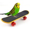 Bird Toy, Skateboard, Pet Supplies, Incognito Skateboard, Stand Up Training,