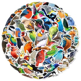 Bird Stickers for Laptop (50 PCS),Gift for Children Teens Adults Girl Boys,Waterproof Stickers for Water Bottle,Cute Cartoon Birds Stickers for Scrapbook,Skateboard,Bike,Phone,Dairy