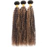 Highlight Human Hair Bundles P4/27 Curly Wave Bundles 10 12