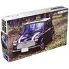 Fujimi Model 1/24 Real Sports Car Series No. 3 Rover