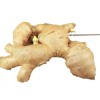 Root Fresh Ginger Root - 1lb