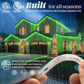 WYZworks - 288 luces LED exteriores de 25 pies, impermeable permanente para exteriores, tubo transparente conectable con certificación ETL, palmera de Navidad, día festivo, paisaje, iluminación