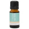 ECO. Modern Essentials Little Study Time Essential Oil Blend, Blend
