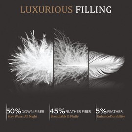 downluxe Luxurious Down Fiber Comforter with Premium Fabric, All Seasons Medium Warmth Duvet Insert Queen, Hotel Collection Down Comforter Queen Size with Corner Tabs (90x90, Queen, White)