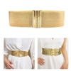 lxuebaix Gold Corset, Wide Corset Waist Belt, Decorative Waist Cincher,