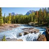 Castorland 1500 Piece Jigsaw Puzzles, Athabasca River, Jasper National Park,