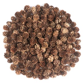 240PCS Pine Cones Christmas Natural Pinecones Small Pine Cones for Home Party Crafts Gift Wedding Christmas Tree Decoration