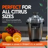 Eurolux Hands-Free Electric Citrus Juicer Machine, Orange Lime Grapefruit Lemon