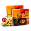 Panu Fruity Shower Soap