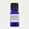 Petal Tone Essence Crystal Clear 0.3 fl oz (10 ml) crystalclear