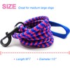 Visit the Mycicy Store Mycicy 6FT Strong Dog Leash Rope