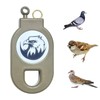 (1pcs) Mousetraps Bird Traps Used to Catch mice Sparrows Small