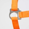 PFIFF Jocose 102921 Safety Halter Paddock Headcollar Orange Shetty