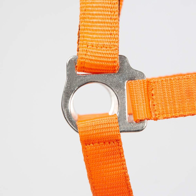 PFIFF Jocose 102921 Safety Halter Paddock Headcollar Orange Shetty