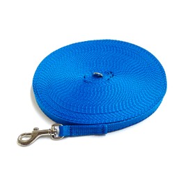 Puppy Training Lead Small Dog Recall Obedience Training Leash 20ft (6m) in 13mm Strong Webbing in (Electric Blue)