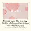 Treecell [Treecell]Day Collagen Shampoo Morning of Resort 120ml