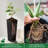 Hzloyat 20 Pcs Plastic Deep Nursery Pots,9.8" Tall Tree Pots,Tall