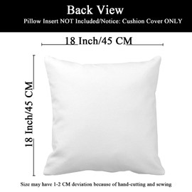 decorbox Feeling Wheel 18x18 Inch Throw Pillow Cover, Therapist Emotion Psychology Mood Chart Cushion Case, Mental Health Therapy Room School Classroom Office Home Teacher Student Kid Gift Pillowcase