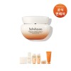 Sulwhasoo [DPT]탄력크림EX 75ml [DPT] Elastic Cream EX 75ml