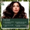 Indus Valley Bio Organic Natural Henna Hair Color For Grey