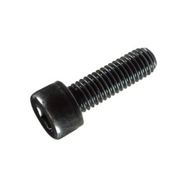 Parthouse 62161 Hex Socket Head Bolt, Iron, All Screws, M10 x 15, Approximately 20 Pieces