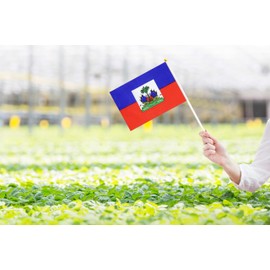 50 Pack Haiti Haitian on Stick Flags,Small Mini Hand Held Haiti Haitian Flags 5.5x8.3 Inch, Grand Opening, Carnival,Party Events Celebration