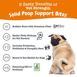 Zesty Paws Solid Poop Support Bites - Dog Stool Hardener - Pumpkin for Dogs with Prebiotics & Probiotics - Veterinarian Formulated Soft Chews - for Diarrhea Relief - 90 Ct