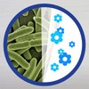 Lysol Disinfectant Spray, Sanitizing and Antibacterial Spray, For Disinfecting and