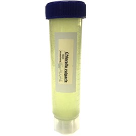 Algae Research Supply Algae Culture Chlorella Vulgaris, Perfect for School Science Fairs/Projects, Experiments & Classrooms (50mL)