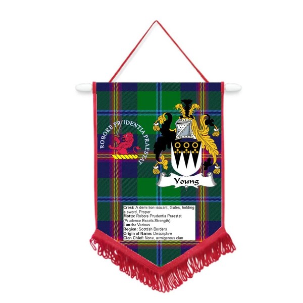 PJ4U Young Scottish Clan Scotland Car / Wall Pennant With
