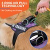 Essential Dog Harness, No Pull Pet Harness with 3 Side