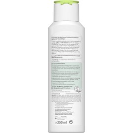 lavera Family Care Shampoo with Organic Apple & Organic Quinoa Gentle Cleansing for Hair and Scalp Gentle Foaming Experience & Improved Combability Natural Cosmetics Vegan Organic (1 x 250 ml)