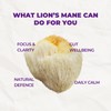 MUSHAND Lion’s Mane Mushroom Powder Sachets | Daily Cognitive Support