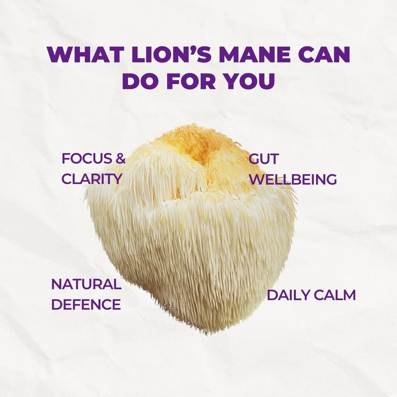 MUSHAND Lion’s Mane Mushroom Powder Sachets | Daily Cognitive Support