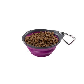 Dexas Pets Collapsible Travel Cup, Small/1 Cup Capacity, Fuchsia