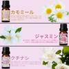SALKING Aroma Oils, Set of 6 Types, Essential Oils, 100%