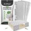 Silverfish Trap — 12 Pack | Sticky Indoor Glue Trap