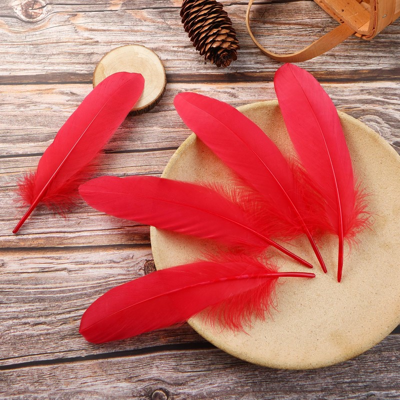 Ballinger Red Large Goose Feather Bulk for Crafts,120Pcs,6-8inch