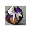 Chosen Bows February Birthstone Cheer Bow