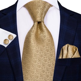 Hi-Tie Father and Son Tie Set Champagne Ties for Men and Boys Silk Jacquard Necktie Pocket Square Set for Wedding Gifts